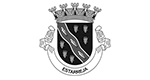 logotipo Logos%20acinGov_municipio_de_estarreja