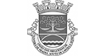 logotipo _0000_Uni%C3%8D%C3%82o das Freguesias de Oliveira de Frades%2C Souto de Laf%C3%8E%C3%B6es e Sej%C3%8D%C3%82es