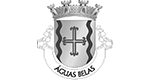 logotipo _0003_Junta de Freguesia de A%CC%81guas Belas