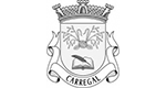 logotipo _0008_Freguesia de Carregal