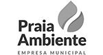 logotipo _0008_Praia Ambiente%2C EM